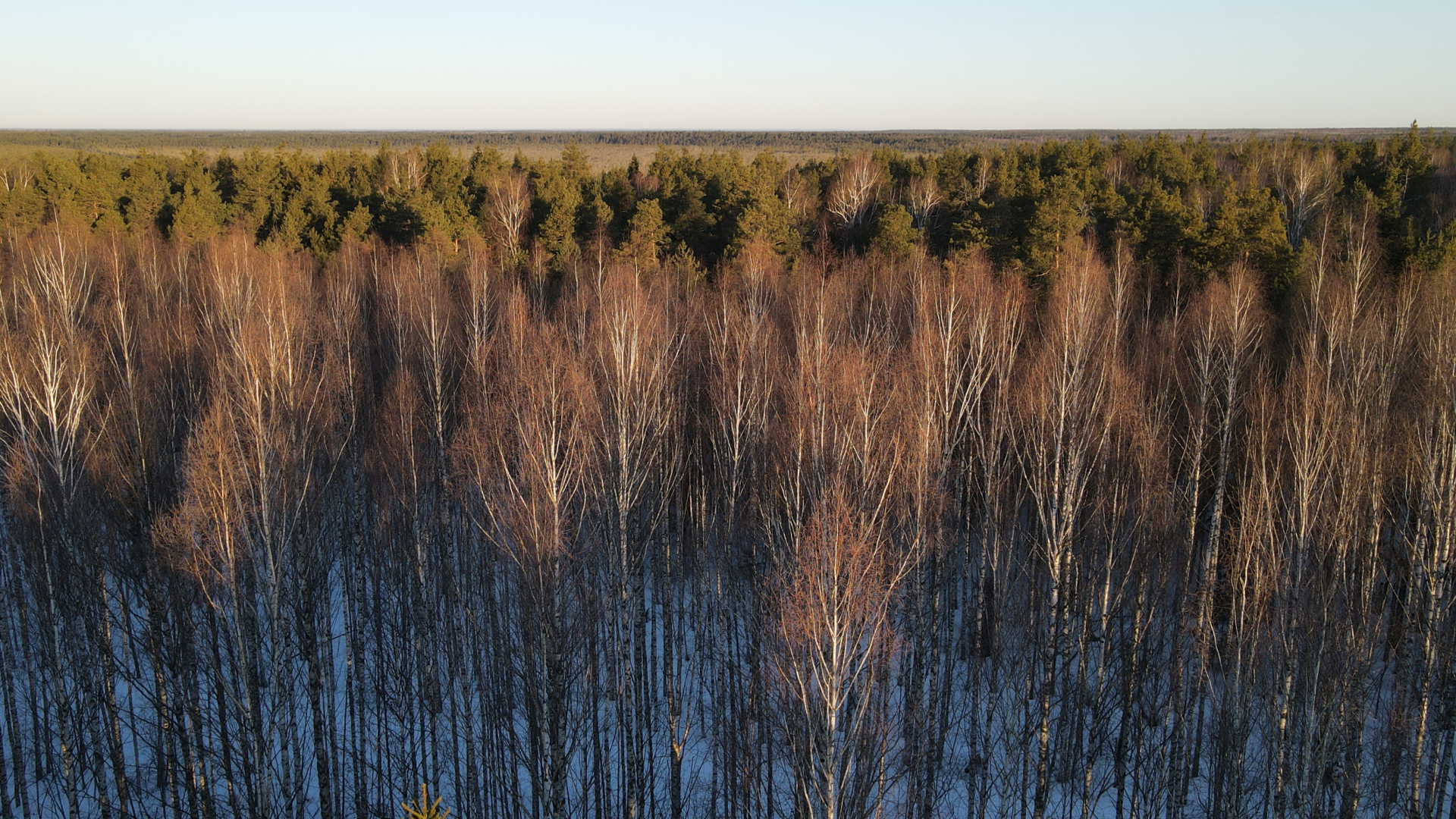Панорама сверху. 30.03.2021