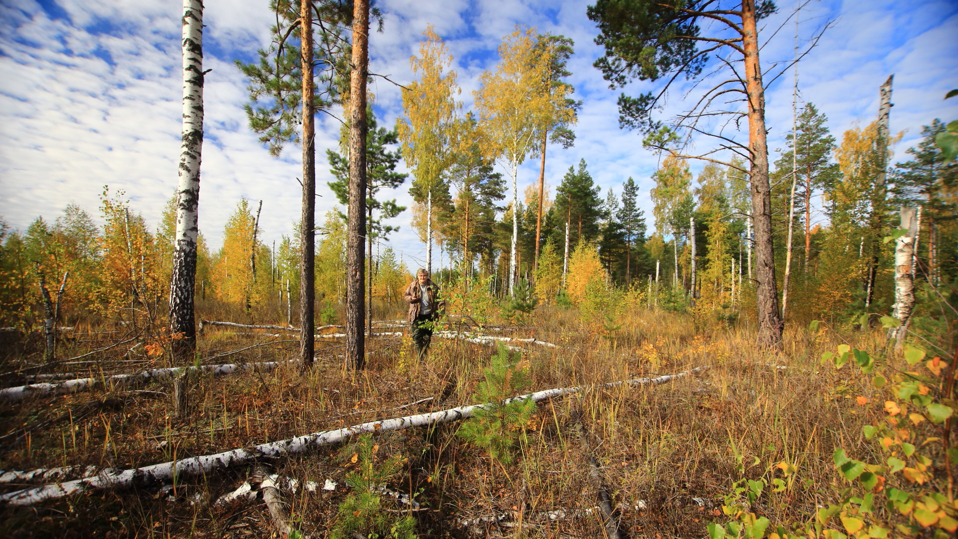 На пути к барсучьему городку. 29.09.2021