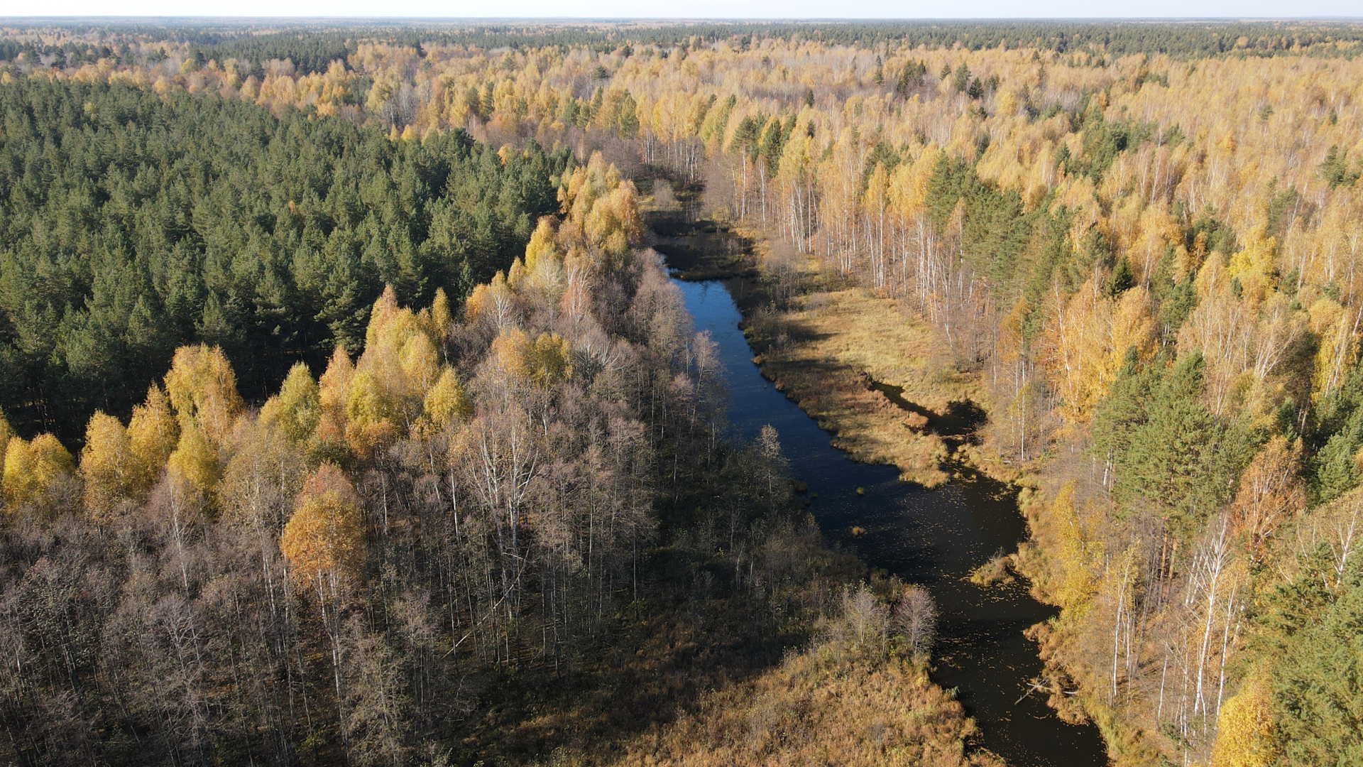 Старое русло Керженца на Черноозерье. 08.10.2021