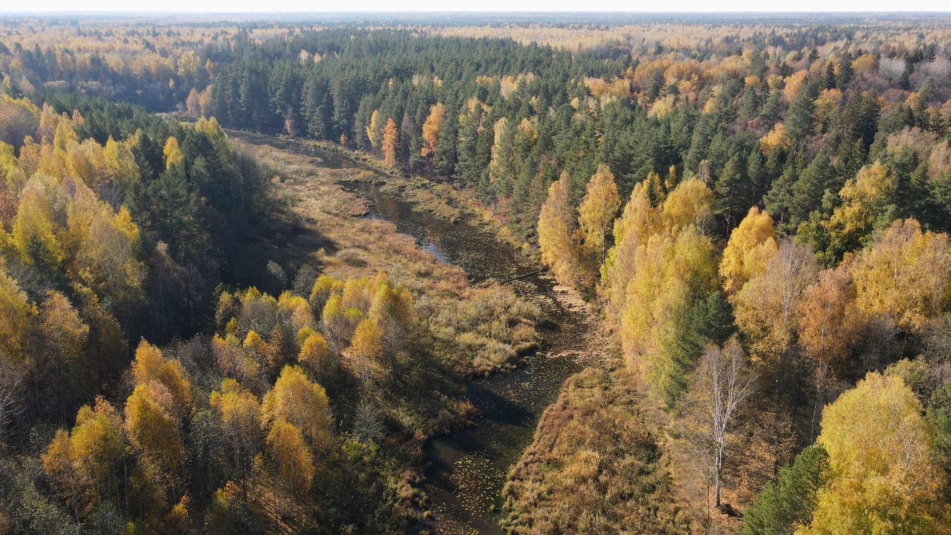 Старое русло Керженца в Черноозерье. 08.10.2021